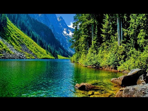 Flows Like Water - Special EFX featuring Chieli Minucci