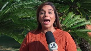 Miniatura do vídeo