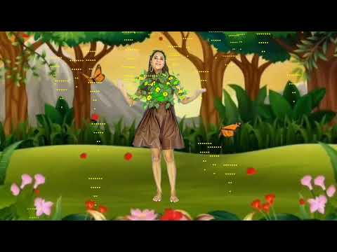 As sementes ( Lyrics)