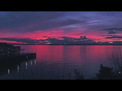 School rooftop + Bird songs (1 hour loop) Nostalgic sunrise