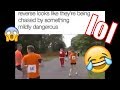 People running backwards put in reverse looks like they're being chased by something mildlyDangerous