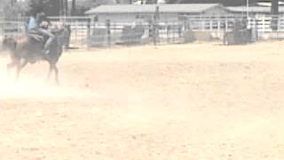 preview picture of video 'Riana HEADS HEELS bARRELS,12,000 909 630 2307'