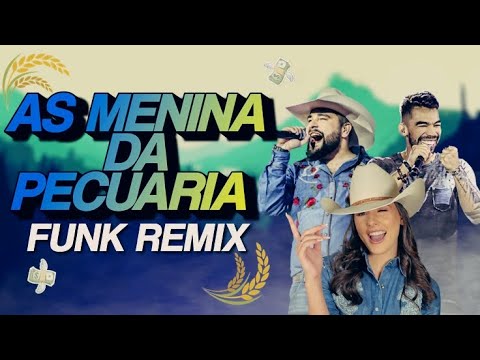 AS MENINA DA PECUARIA 🤠 - é top, é top... ANA CASTELA, LEO E RAPHAEL (FUNK REMIX) Prod By Jackarezin