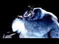 IAMX - 'Tear Garden' (Official Video)