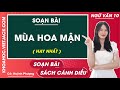 Soạn bài Mùa hoa mận Ngữ văn 10 Cánh diều