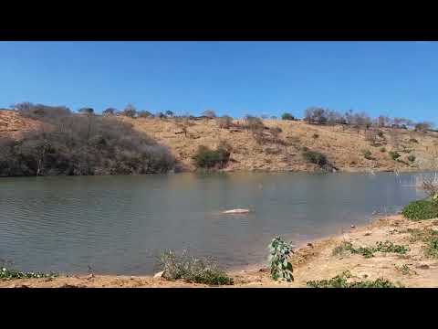 Açude Riacho Verde Catarina Ceará 