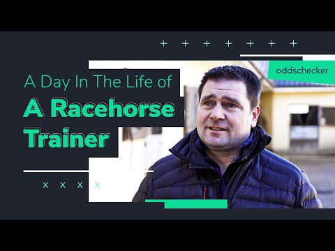 Racehorse trainer video 1