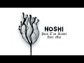 Hoshi - Puis t'as dansé avec moi (Audio)
