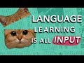How to Learn a Language: INPUT  (Why most methods don't work)