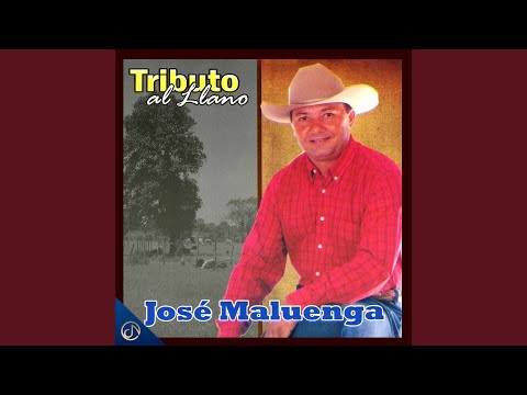 Vuelve a Colear Mi Gaban