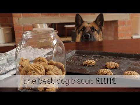 The Best Dog Biscuit Recipe - thesupermomsclub.com - Baking Vlog E7