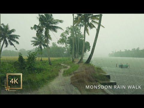 Refreshing Monsoon Rain Walk in a Beautiful Village of Kerala | ASMR Rain Sounds for Deep Sleep
