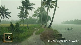 Download lagu Refreshing Monsoon Rain Walk in a Beautiful Village of Kerala | ASMR Rain Sounds for Deep Sleep mp3 Download lagu Refreshing Monsoon Rain Walk in a Beautiful Village of Kerala | ASMR Rain Sounds for Deep Sleep mp3