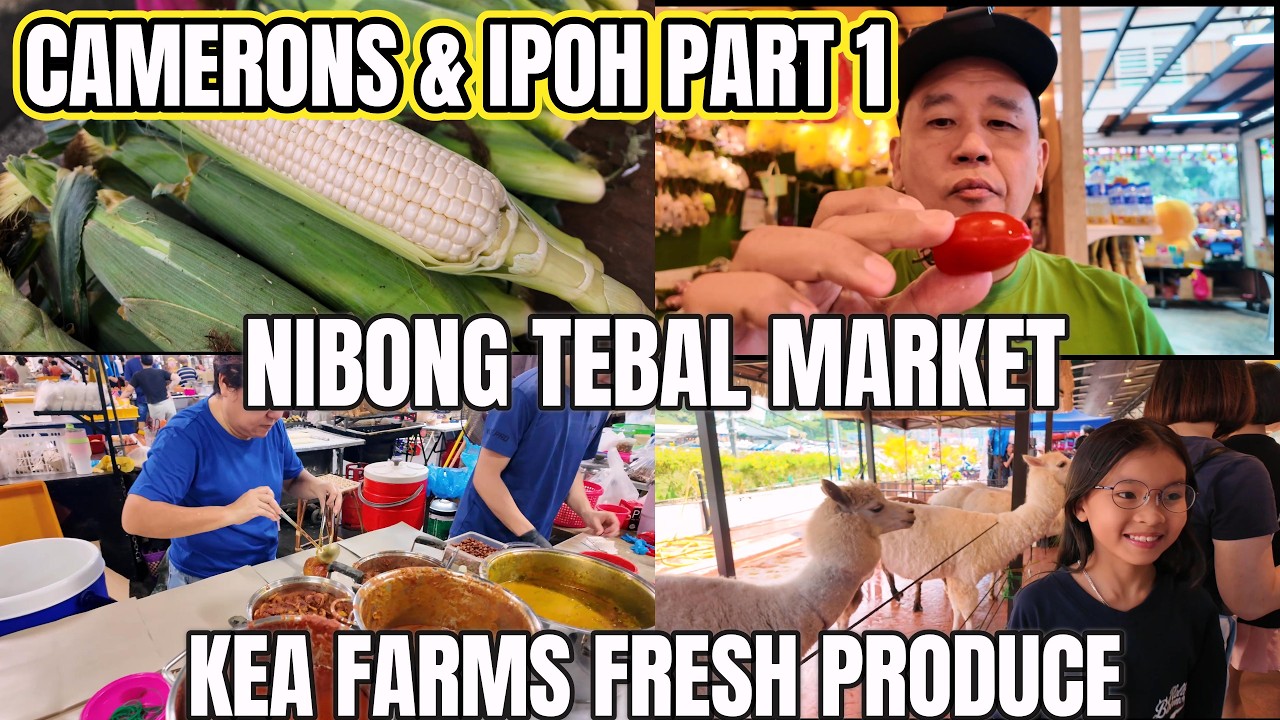 Camerons & Ipoh Trip Part 1: Drive to Nibong Tebal Pasar Pagi breakfast, first stop Kea Farms visit