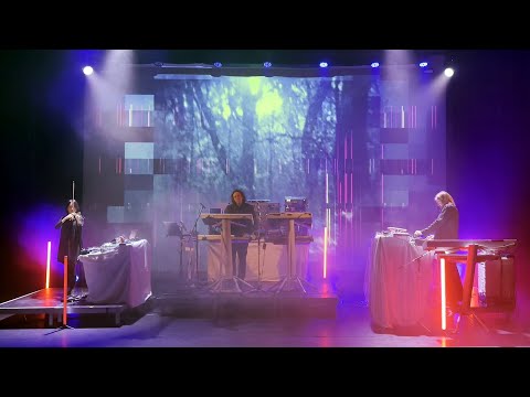 Tangerine Dream - You're Always On Time (live 21Dec24)