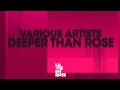 Rotty -'Greed' Various Artists ,Deeper Than Rose ...