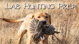 Hunting With Your Lab - Gun Dog Practice Hunt