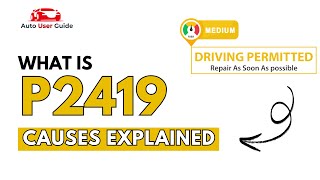 OBD Code p2419 Guide to Repair