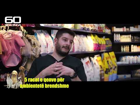 ●5 RACAT E QENVE PER AMBIENTE TE BRENDSHME #fauna #kafshetshetpiake #pets #qeni #qent #qen #dog #pet