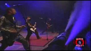 Heideroosjes Interview Rough Draft