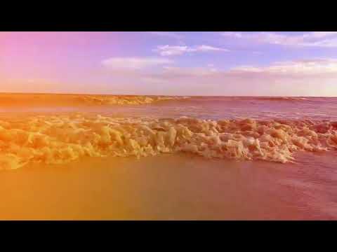 Coxs Bazar beach || The natural beauty of Bangladesh || Khayachra Beaches of Bangladesh 2024