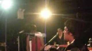 the pink spiders - adalae