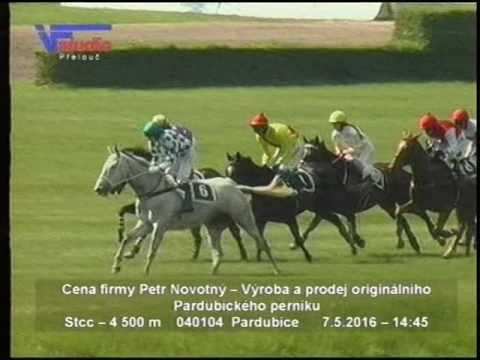 7. 5. 2016 - 4. dostih - Cena firmy Petr Novotný