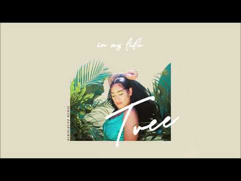 Tree - In My Life (Dj Holdupz Remix)
