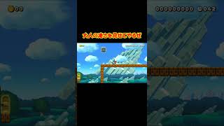 小学生が適当に作った騙しコース【マリオメーカー２】