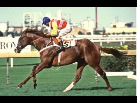 1988 STC George Ryder Stakes_ Campaign King