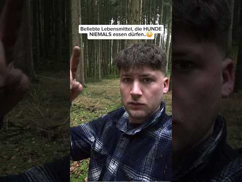 Lebensmittel die Hunde nicht essen dürfen.. 😳