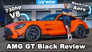 [分享] 730匹AMG GT Black Series賽道彈射與聲浪