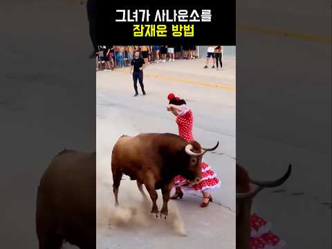 그녀가 사나운소를잠재운 방법#투우 #황소 #소몰이 #투우소 #동물영상#반전영상 #실화영상 #충격반전 #신기한영상 #짧은영상#여자와황소 #카리스마 #동물의세계 #shorts