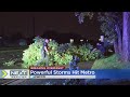 Overnight storms leave downed trees, damage across Twin Cities