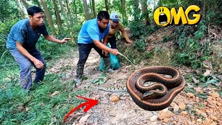 3 Brave Hunters Confront Giant Snakes