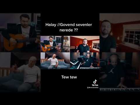 Halay/Govend sevenler nerede 🔥♥️ #halay #govend #düğünler #merdanbiter #mutlakadinle #keşfet