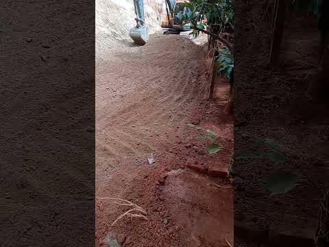 Peçanha Minas Gerais