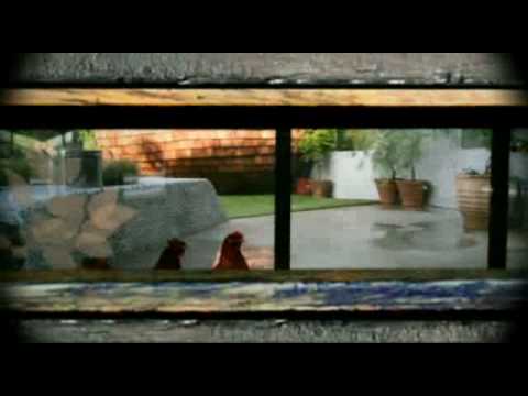 Big Brother UK BB11UK Day 54 P2