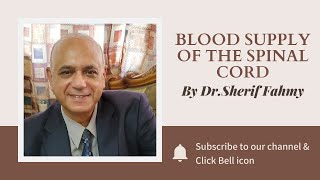 Dr. Sherif Fahmy - Blood supply of the Spinal cord