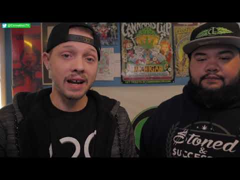 Hvordan SCROG'E ?   Screen of Green metoden forklart