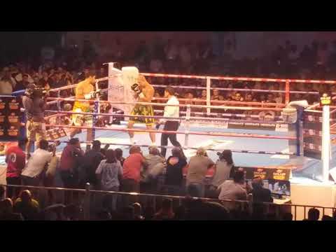 Vijendra Singh Last Match