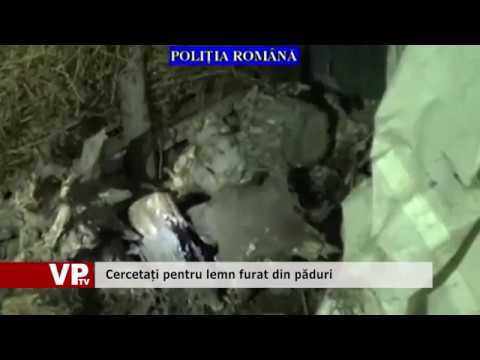 Cercetați pentru lemn furat din păduri