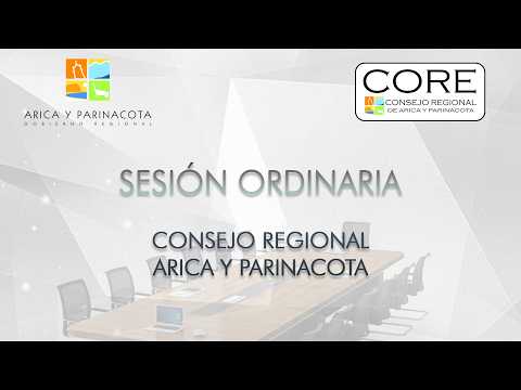 lX Sesión ordinaria del Consejo Regional de Arica y Parinacota