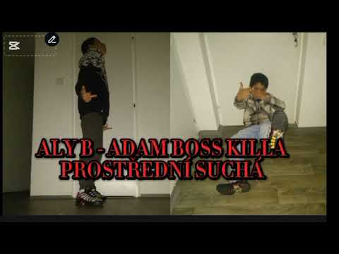 ALY B -ADAM BOSS KILLA  PROSTŘEDNÍ SUCHÁ 