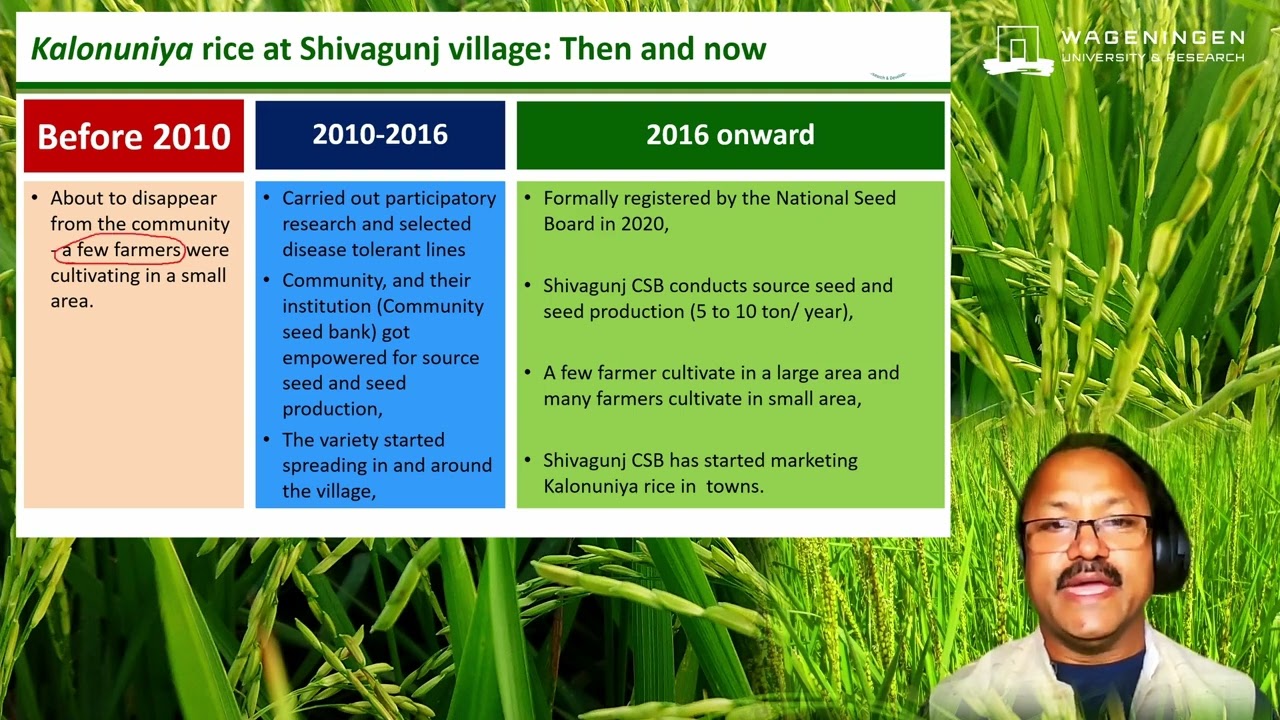 Grassroots Plant Breeding Pitambar