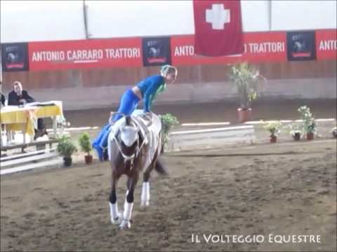 CVI Portogruaro 2016 - Volteggio - Ind 2* j F - 5° Chiara Hilverkus