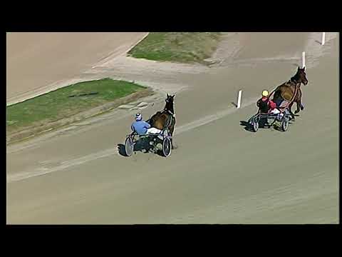 Trotto 31/12/2020 - 2ª prova di qualifica