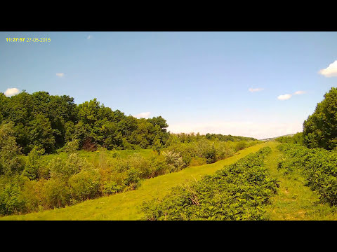 Padurea Maraseni Vaslui - video 2015