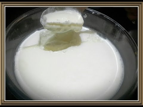 download lagu mp3 mp4 How To Make Curd In Winter, download lagu How To Make Curd In Winter gratis, unduh video klip How To Make Curd In Winter