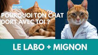 Pourquoi votre chat DORT avec vous  ?  la réponse va vous émouvoir !